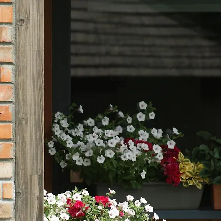 Gosciniec Jaroszewskie Wzgorze Bed & Breakfast *